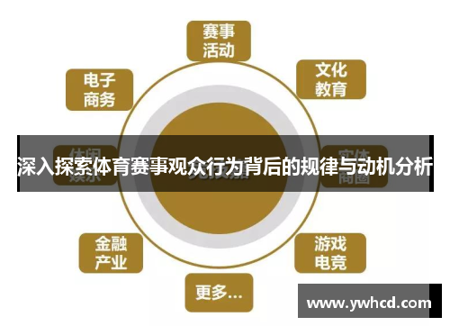 深入探索体育赛事观众行为背后的规律与动机分析