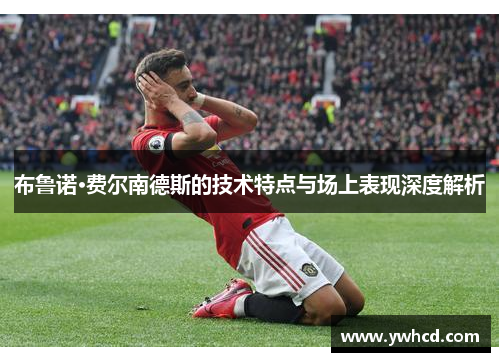 布鲁诺·费尔南德斯的技术特点与场上表现深度解析