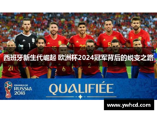 西班牙新生代崛起 欧洲杯2024冠军背后的蜕变之路