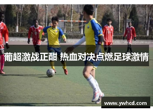 葡超激战正酣 热血对决点燃足球激情